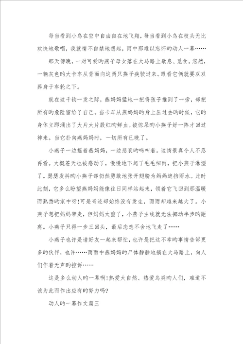 2022年感人的一幕作文600字