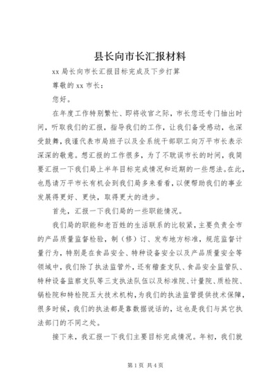 县长向市长汇报材料 (6).docx