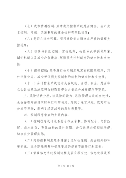 内部控制制度审计实施细则.docx