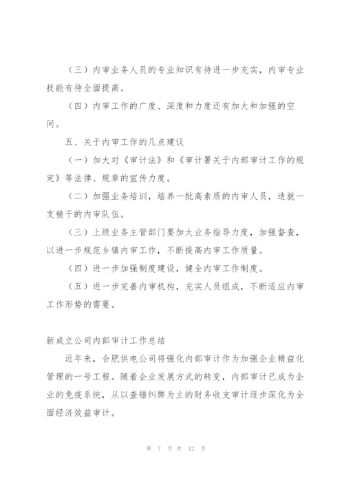 新成立公司内部审计工作总结.docx