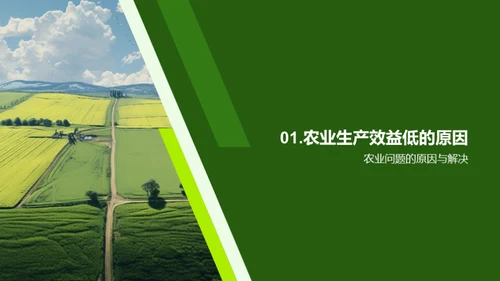 推广农业科技，提高农业生产效益