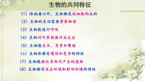 人教版（2024）七年级上册1.1.2 生物的特征 课件(共20张PPT)