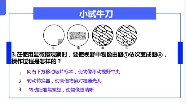 人教版（2024）七年级上册1.2.1 学习使用显微镜 课件(共29张PPT)