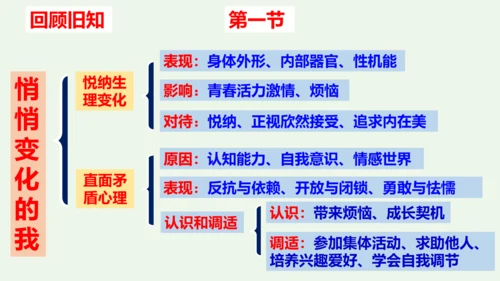 第一课青春的邀约 复习课件 (共33张PPT)