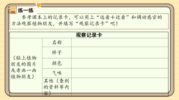 统编版语文三年级下册2024-2025学年度第一单元习作：我的植物朋友（课件）