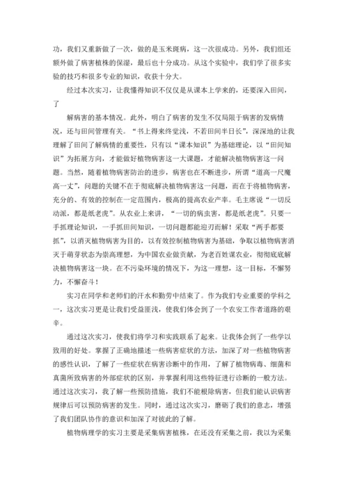 植物学实习报告模板汇编八篇.docx