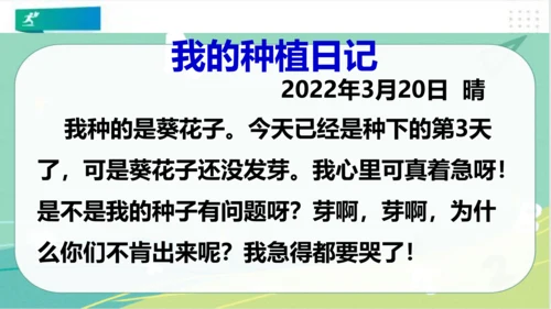 二年级道德与法治下册：第四课  试种“一粒籽” 课件（共32张PPT）