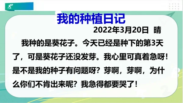 二年级道德与法治下册：第四课  试种“一粒籽” 课件（共32张PPT）