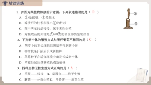 复习专题五生物的生殖和发育（串讲课件）-八年级生物上学期期末考点大串讲（人教版）(共20张PPT)