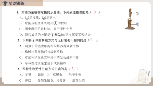 复习专题五生物的生殖和发育（串讲课件）-八年级生物上学期期末考点大串讲（人教版）(共20张PPT)