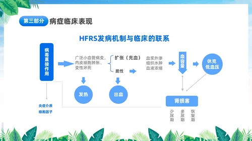 蓝色简约医疗肾综合出血热治疗预防讲座PPT护理