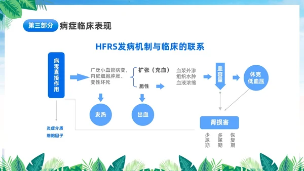 蓝色简约医疗肾综合出血热治疗预防讲座PPT护理