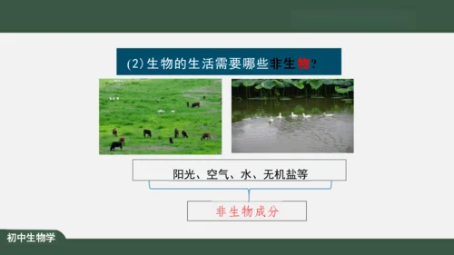 1.2.2 生物与环境组成生态系统 课件（共30张PPT）