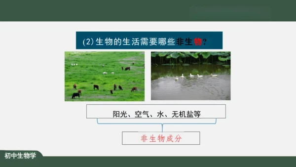 1.2.2 生物与环境组成生态系统 课件（共30张PPT）
