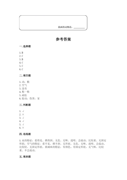 教科版一年级下册科学期末测试卷附参考答案【轻巧夺冠】.docx