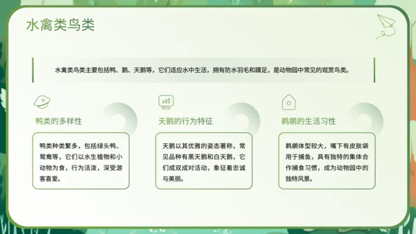 绿色插画风科普知识动物PPT