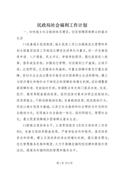 民政局社会福利工作计划.docx