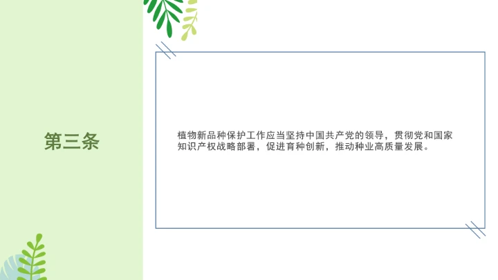 普法全文学习2025年4月新修订《中华人民共和国植物新品种保护条例》PPT课件