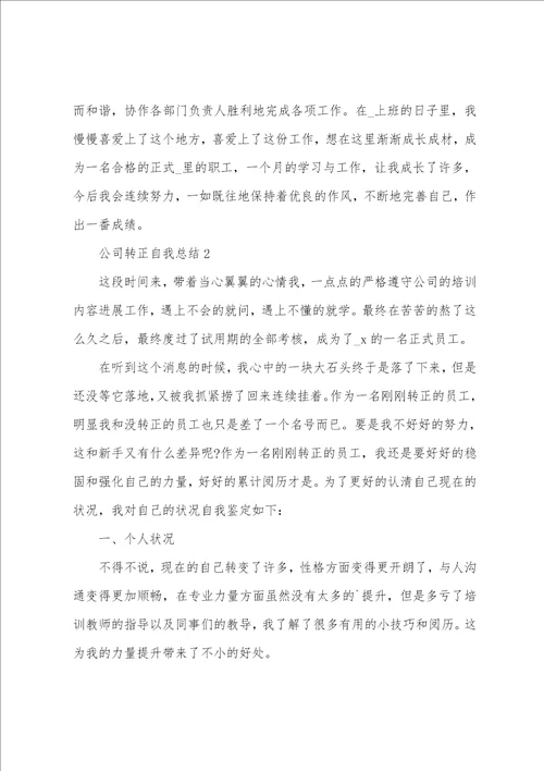 公司转正自我总结5篇