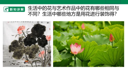 第十六课《生活与艺术中的花》课件（26页PPT）