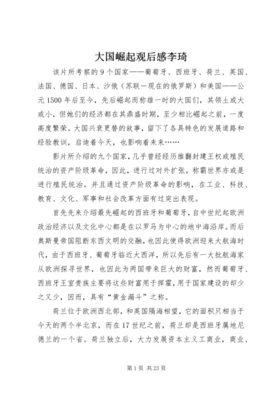 大国崛起观后感李琦.docx