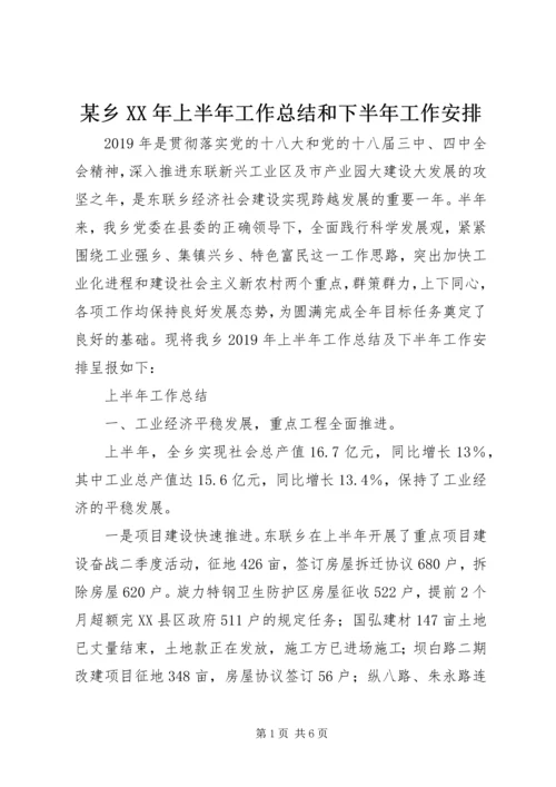 某乡XX年上半年工作总结和下半年工作安排 (3).docx