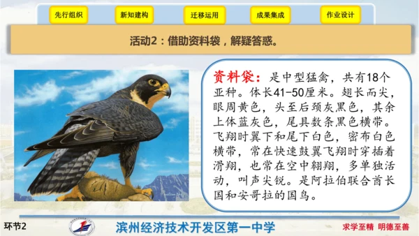 7《什么比猎豹的速度更快》（课件）