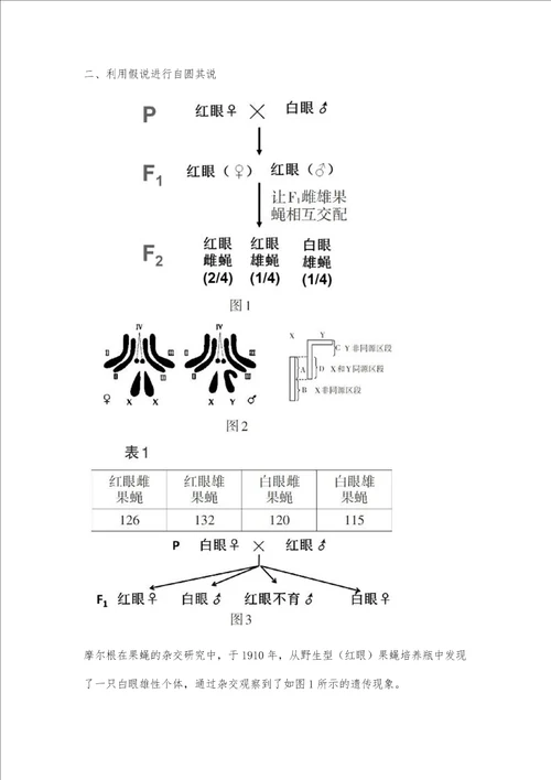 基于理性思维培养的课堂教学实践