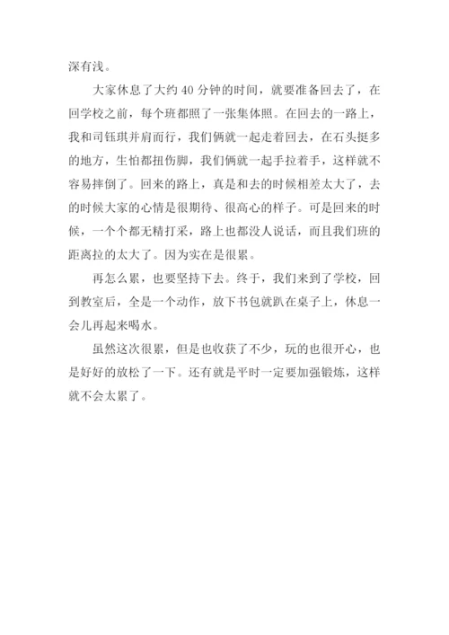 一次春游作文800字.docx