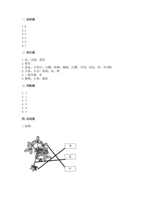 教科版科学一年级上册第一单元《植物》测试卷（夺冠系列）.docx