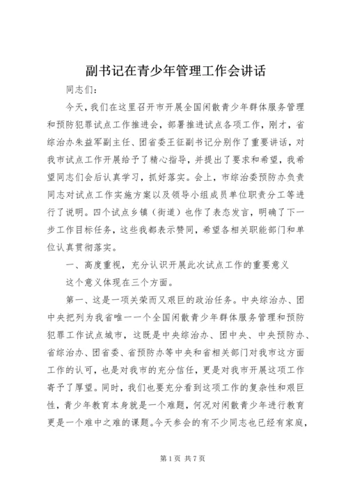 副书记在青少年管理工作会讲话.docx