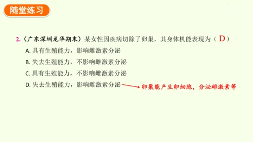 4.1.1人的生殖-七年级生物下学期同步精品课件（2024人教版）(共24张PPT)