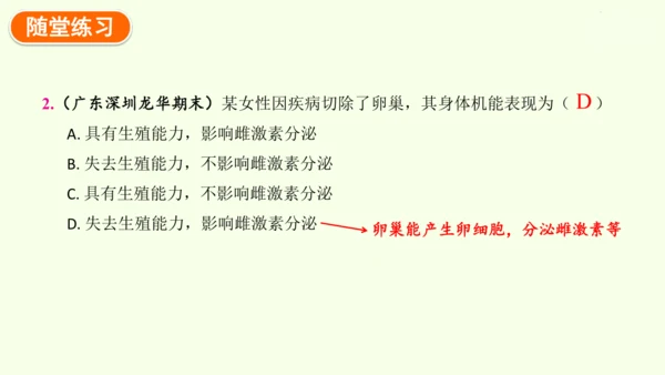 4.1.1人的生殖-七年级生物下学期同步精品课件（2024人教版）(共24张PPT)
