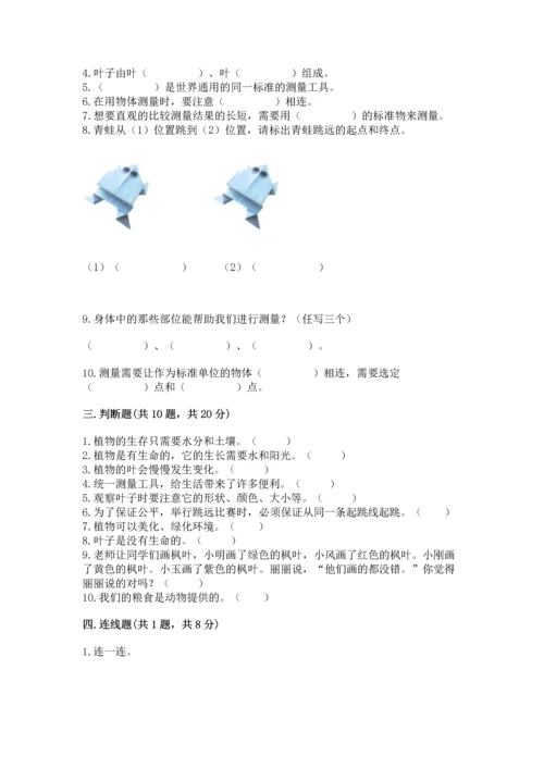 教科版科学一年级上册期末测试卷及参考答案1套.docx