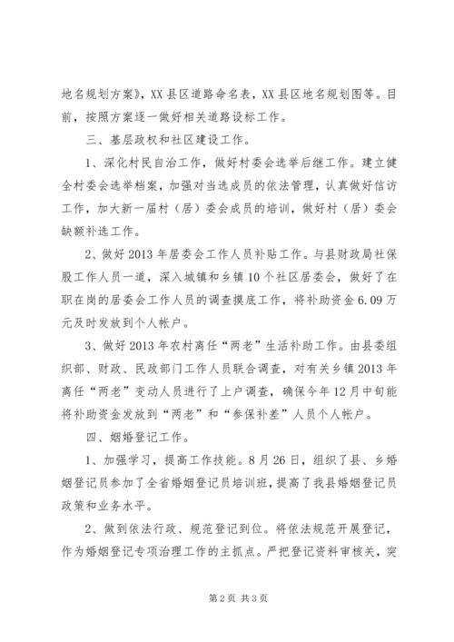 县民政事务股年度报告.docx