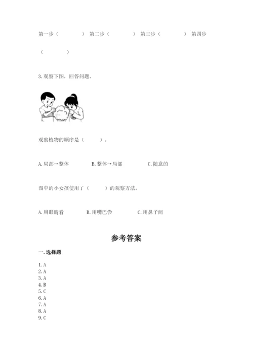 教科版一年级上册科学期末测试卷含解析答案.docx