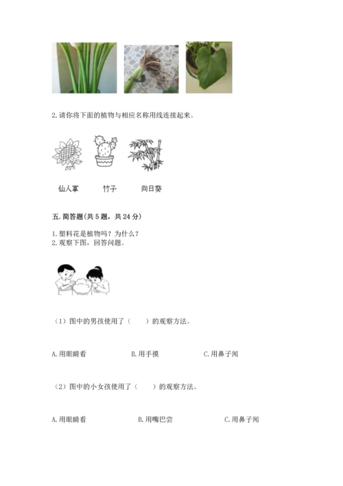 教科版一年级上册科学期末测试卷附答案（满分必刷）.docx
