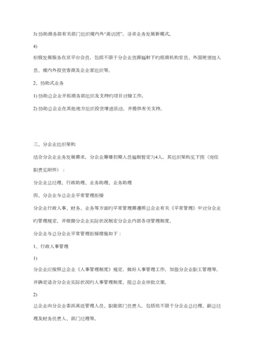 公司筹建方案.docx