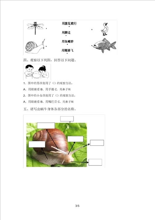 湘教版一年级科学上册期末试题及答案新版