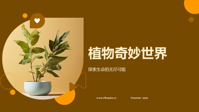 植物奇妙世界