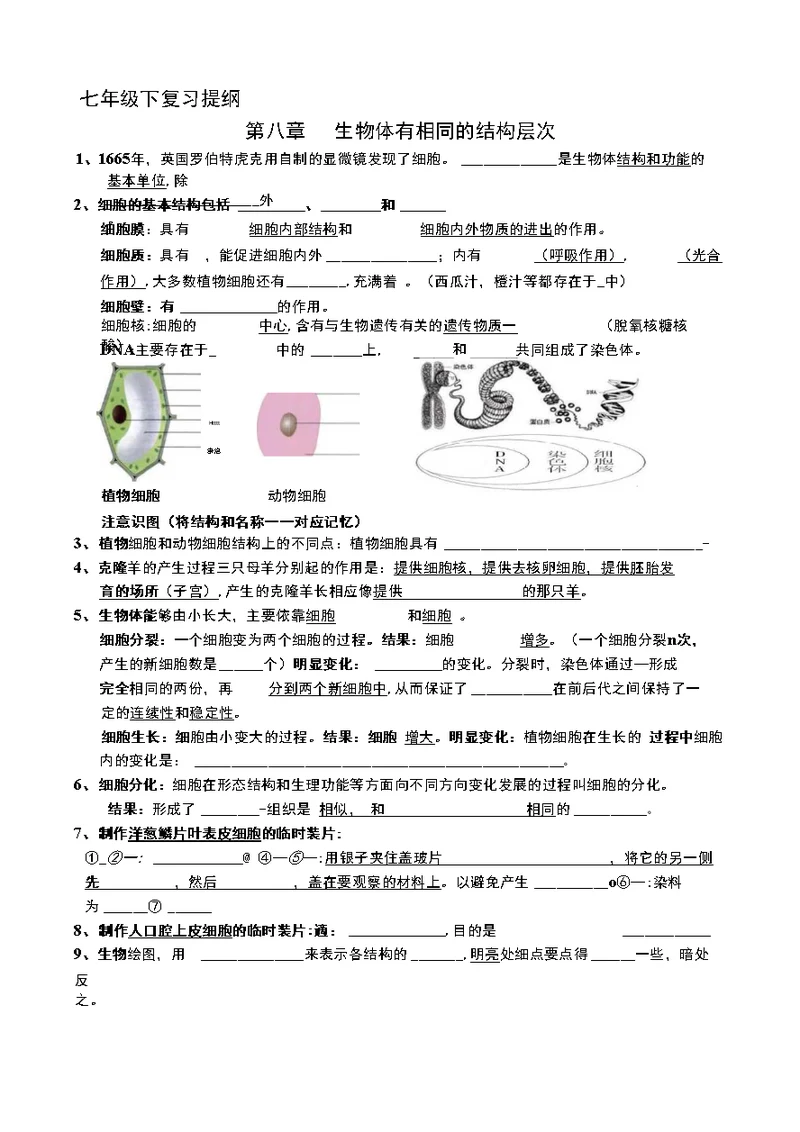 生物七下复习提纲填空版全