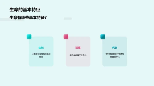 3D风教育培训教学课件PPT模板