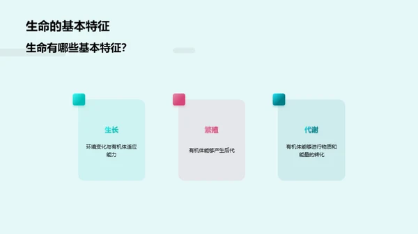 3D风教育培训教学课件PPT模板