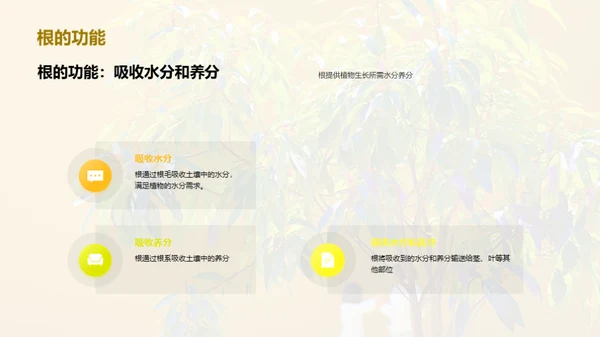 商务风教育培训教学课件PPT模板