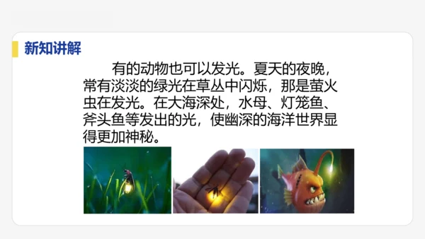 4.1  光的直线传播  课件 