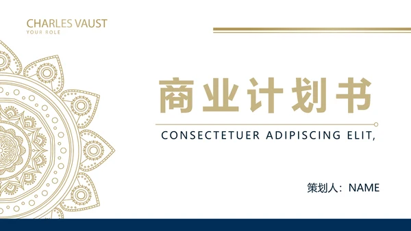高端大气简约创业融资计划书商业计划书PPT