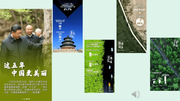 10.《我们所了解的环境污染》（第二课时）  课件