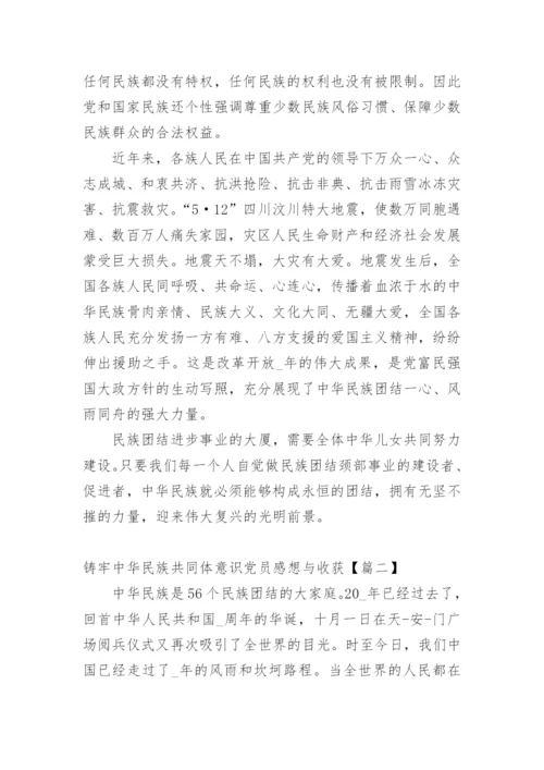 铸牢中华民族共同体意识党员感想与收获.docx
