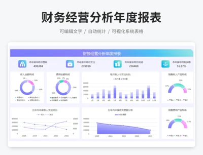 财务经营分析年度报表