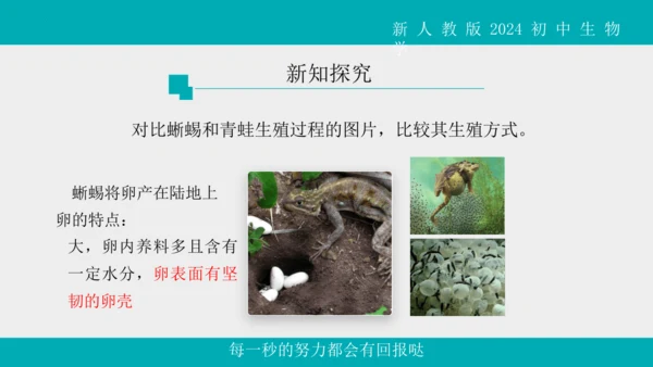 人教版生物七年级上册2.2.2《脊椎动物》（第1课时）课件(共42张PPT)+视频素材
